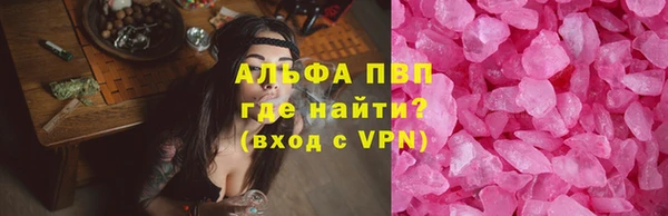 ПСИЛОЦИБИНОВЫЕ ГРИБЫ Валдай