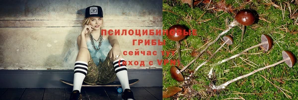 дживик Ветлуга