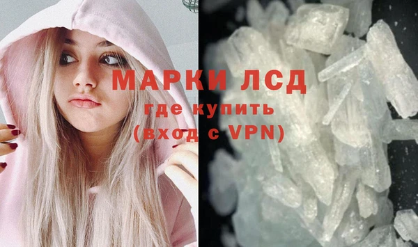 ПСИЛОЦИБИНОВЫЕ ГРИБЫ Валдай