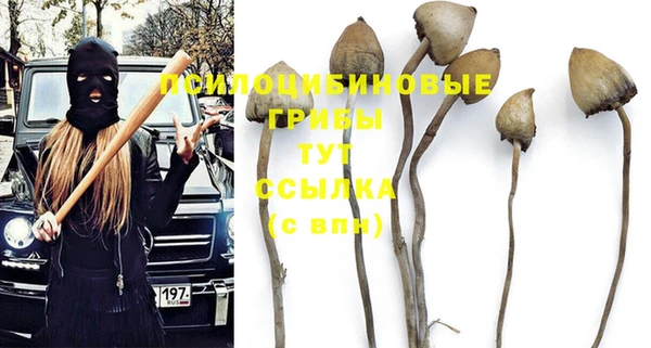 твердый Бутурлиновка