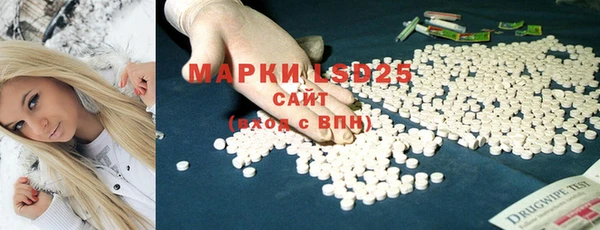 ПСИЛОЦИБИНОВЫЕ ГРИБЫ Валдай