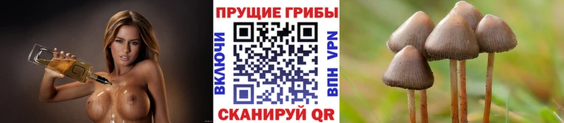 Псилоцибиновые грибы мухоморы  Касимов 