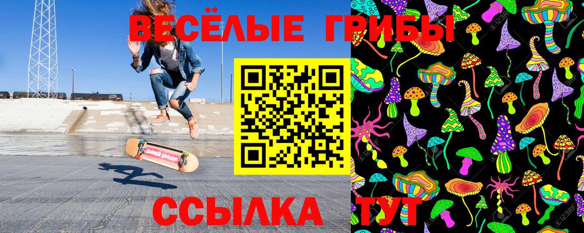 Псилоцибиновые грибы GOLDEN TEACHER  Вход с VPN  Касимов 