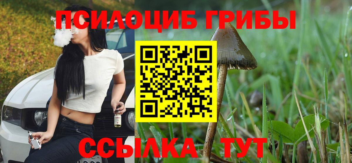 Псилоцибиновые грибы Cubensis  Галлюциногенные грибы Psilocybe  Касимов 