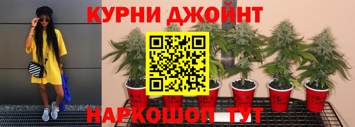 Бошки марихуана ГИДРОПОН Касимов